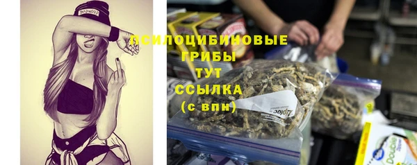 mix Горнозаводск