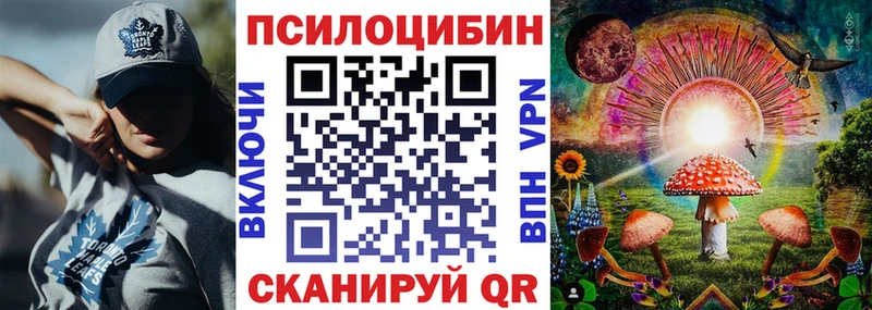 мориарти Telegram  blacksprut зеркало  Красный Сулин  Псилоцибиновые грибы MAGIC MUSHROOMS 